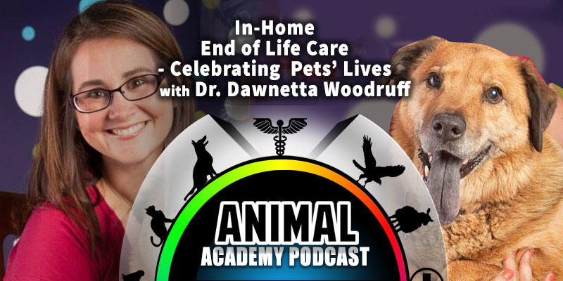 Animal Academy Podcast: In-Home End of Life Care - Celebrating Pets’ Lives with Dr. Dawnetta Woodruff