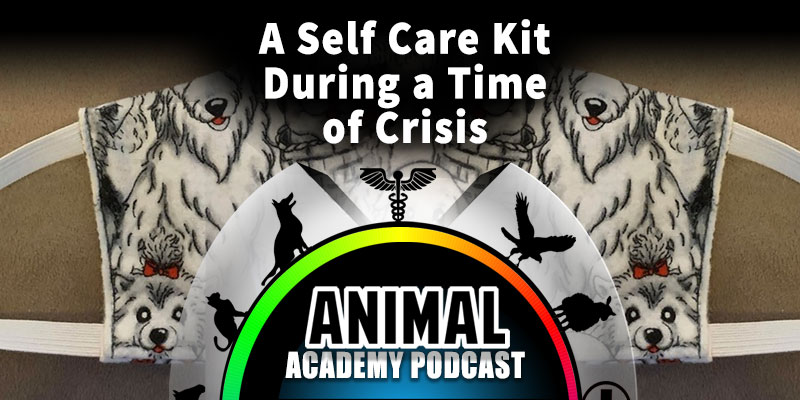 A Self Care Kit During a Time of Crisis - from The Animal Academy Podcast