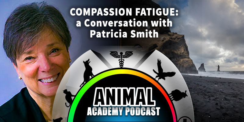Animal Academy Podcast: Compassion Fatigue: A Conversation with Patricia Smith