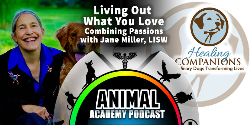 Animal Academy Podcast - Living Out What You Love: Combining Passions with Jane Miller, LISW