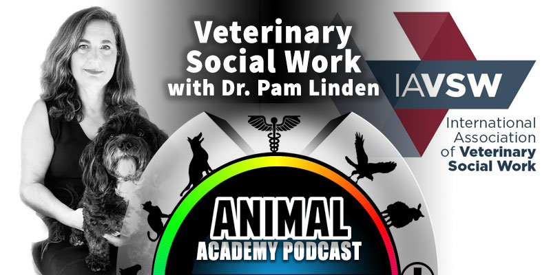 Veterinary Social Work with Dr. Pam Linden